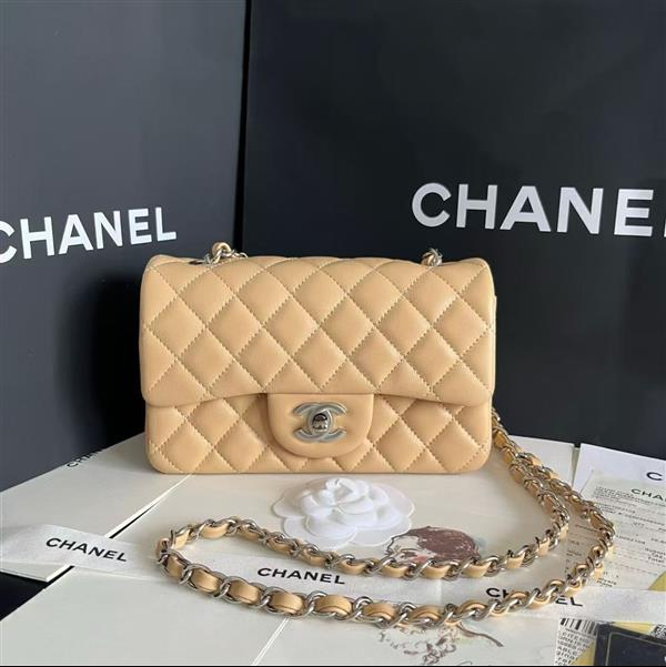 2026127205647728 380